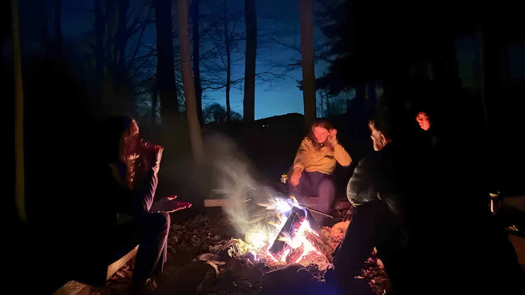 Club members around a campfire in the woods at night